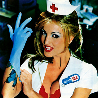 Enema of the State cover