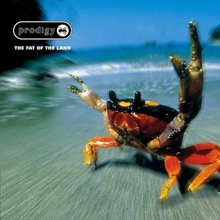 The Fat of the Land cover